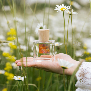 Parfum Arcadie Florale - Provence