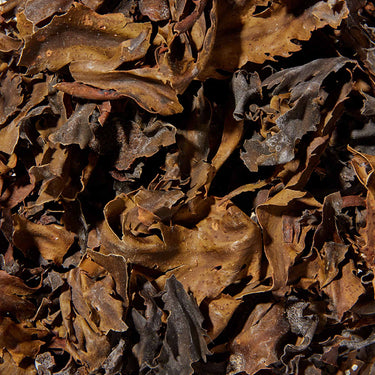 Close up of Seaweed Soak ingredients.